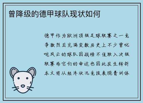 曾降级的德甲球队现状如何